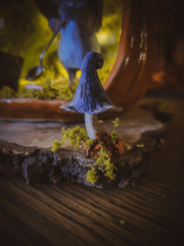 "Maison citrouille enchantée" – Collaboration L’Or.angerie x Silva Anima Atelier